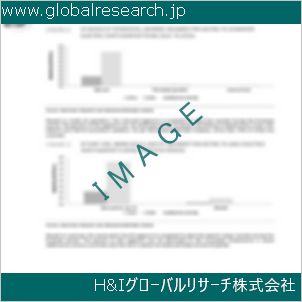 グローバルリサーチ調査資料のイメージ
